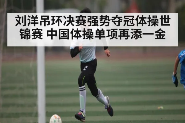 刘洋吊环决赛强势夺冠体操世锦赛 中国体操单项再添一金